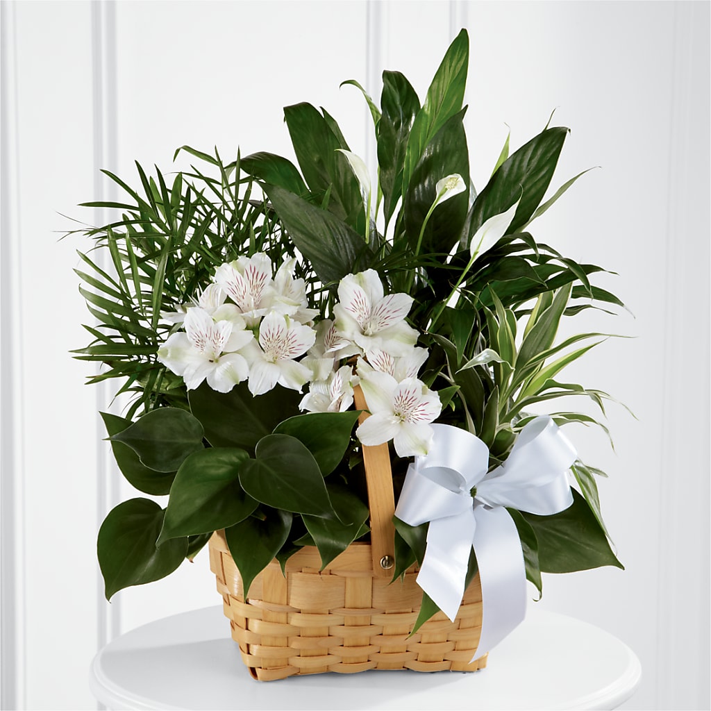 Peace & Serenity Dishgarden – Blooms By The Lake, Lake Arthur LA