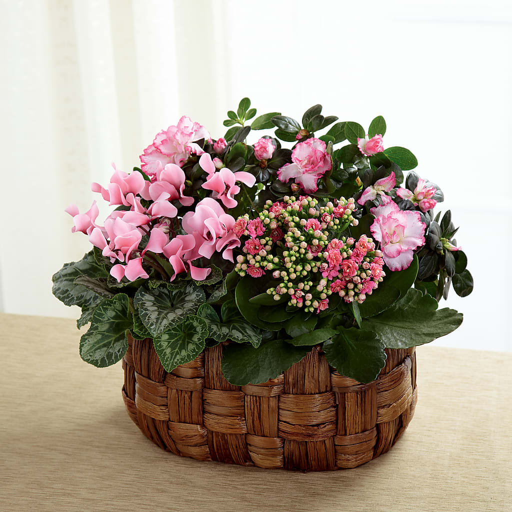 Pink Assortment – Blooms By The Lake, Lake Arthur LA