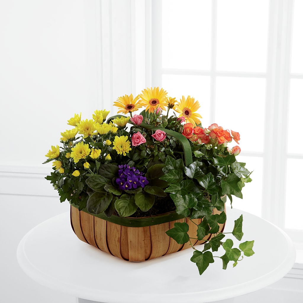 Gentle Blossoms Basket – Blooms By The Lake, Lake Arthur LA