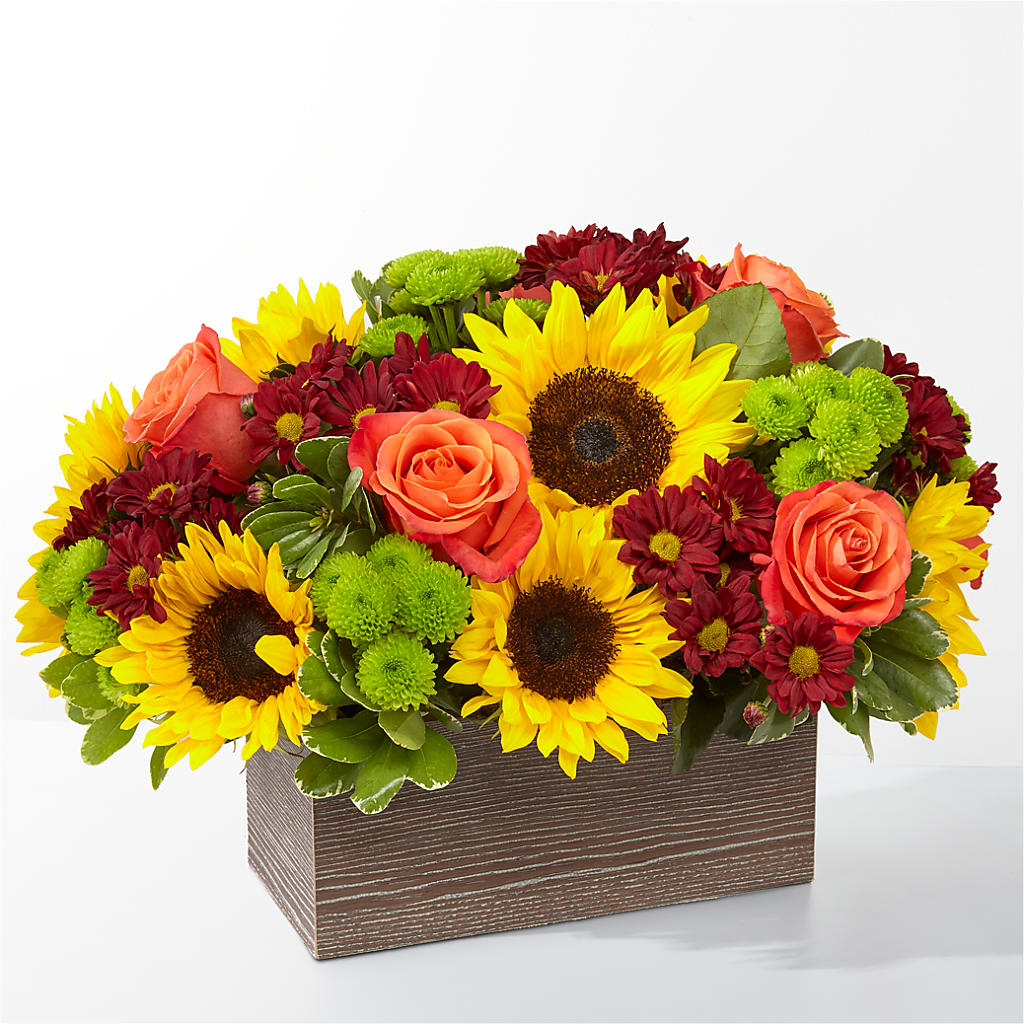 Happy Harvest Garden – Blooms By The Lake, Lake Arthur LA