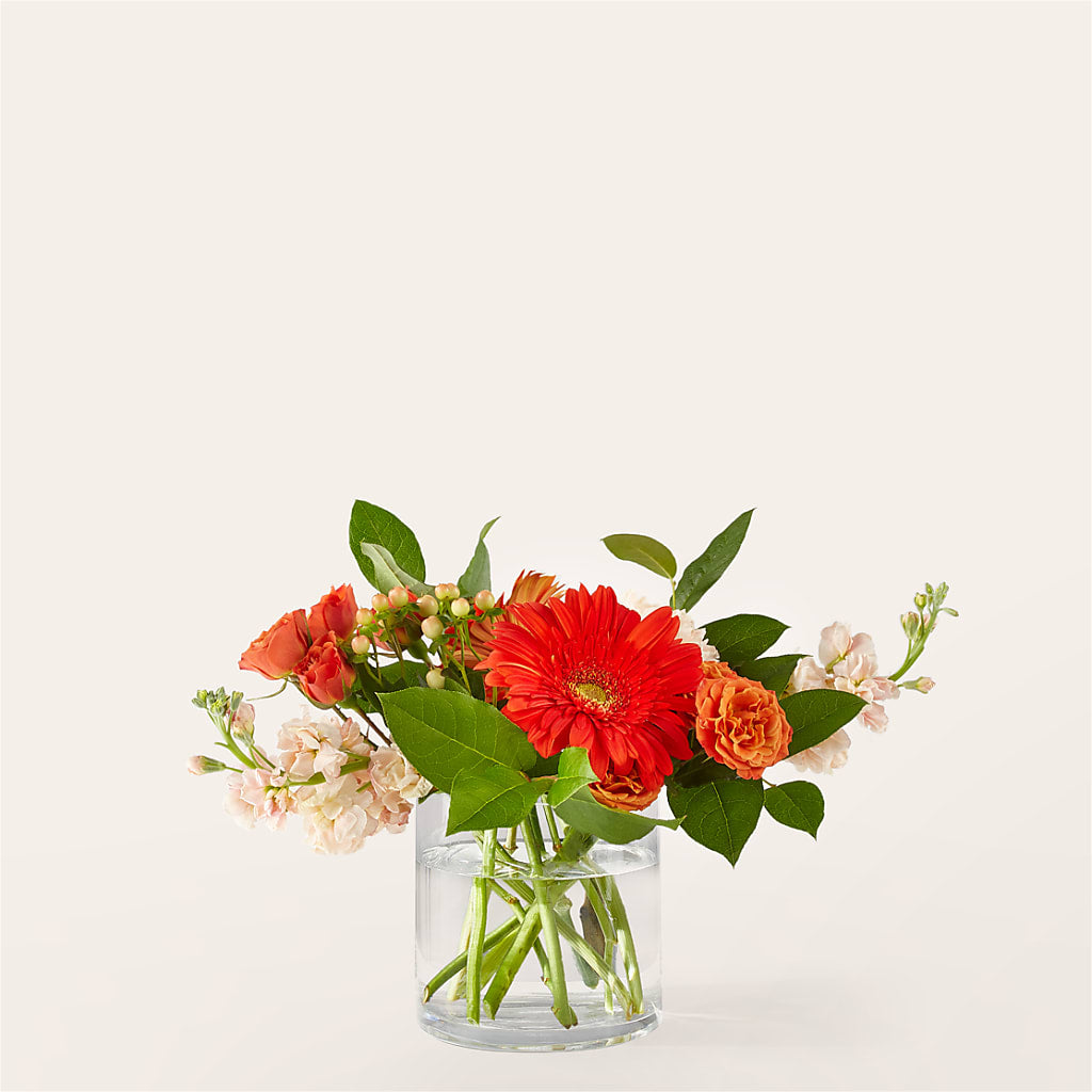 Paloma Please Bouquet – Blooms By The Lake, Lake Arthur LA