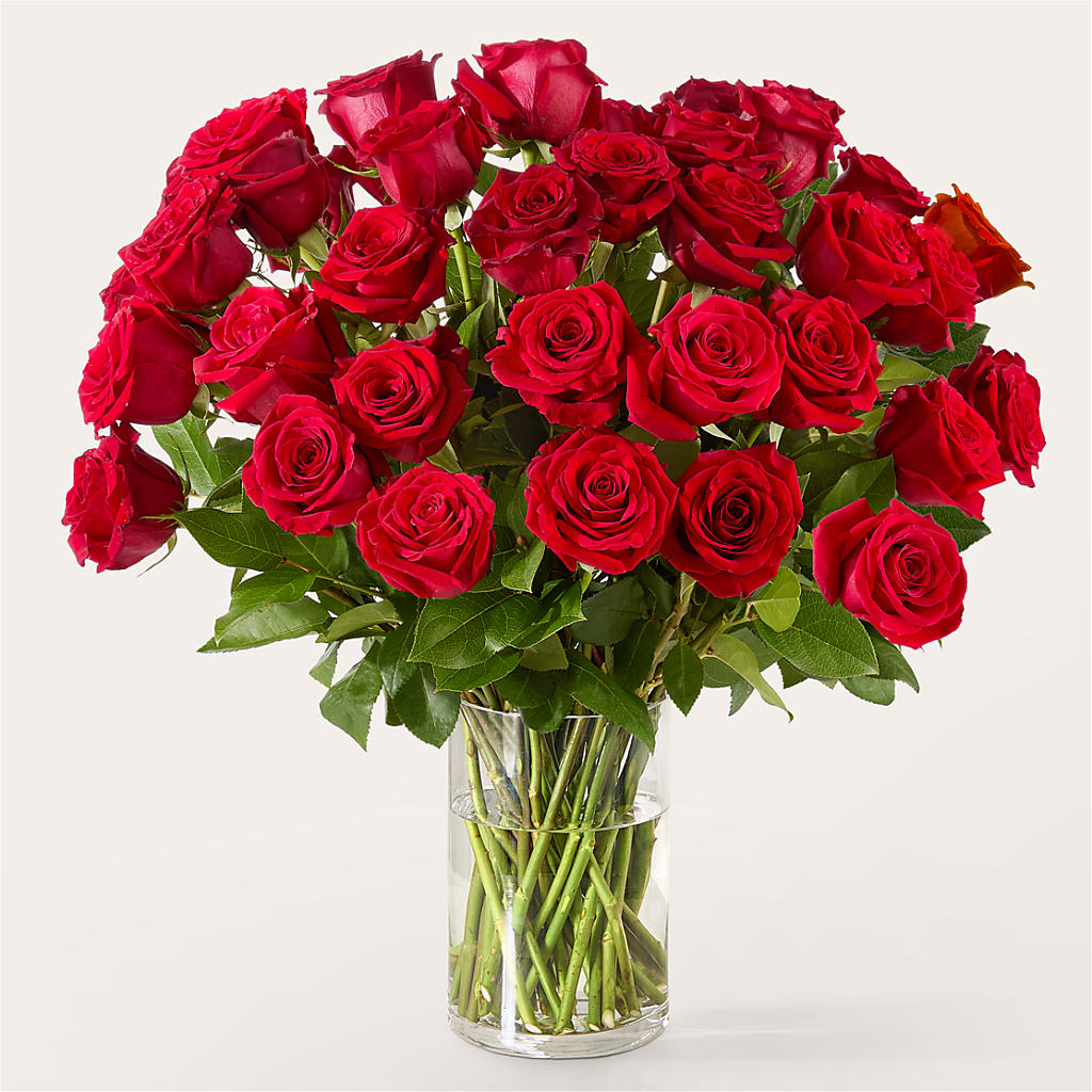 The One Red Rose Bouquet – Blooms By The Lake, Lake Arthur LA
