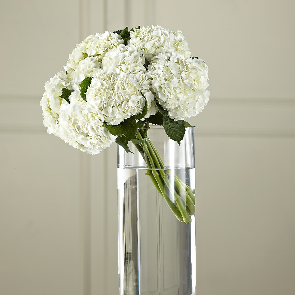 White Hydrangea Hand-Tied Bouquet – Blooms By The Lake, Lake Arthur LA