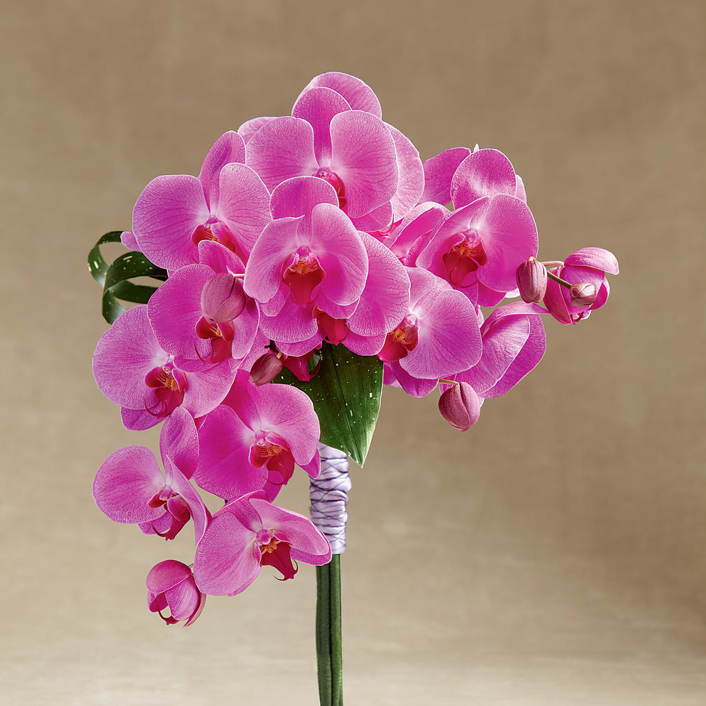 Glorious Bouquet – Blooms By The Lake, Lake Arthur LA