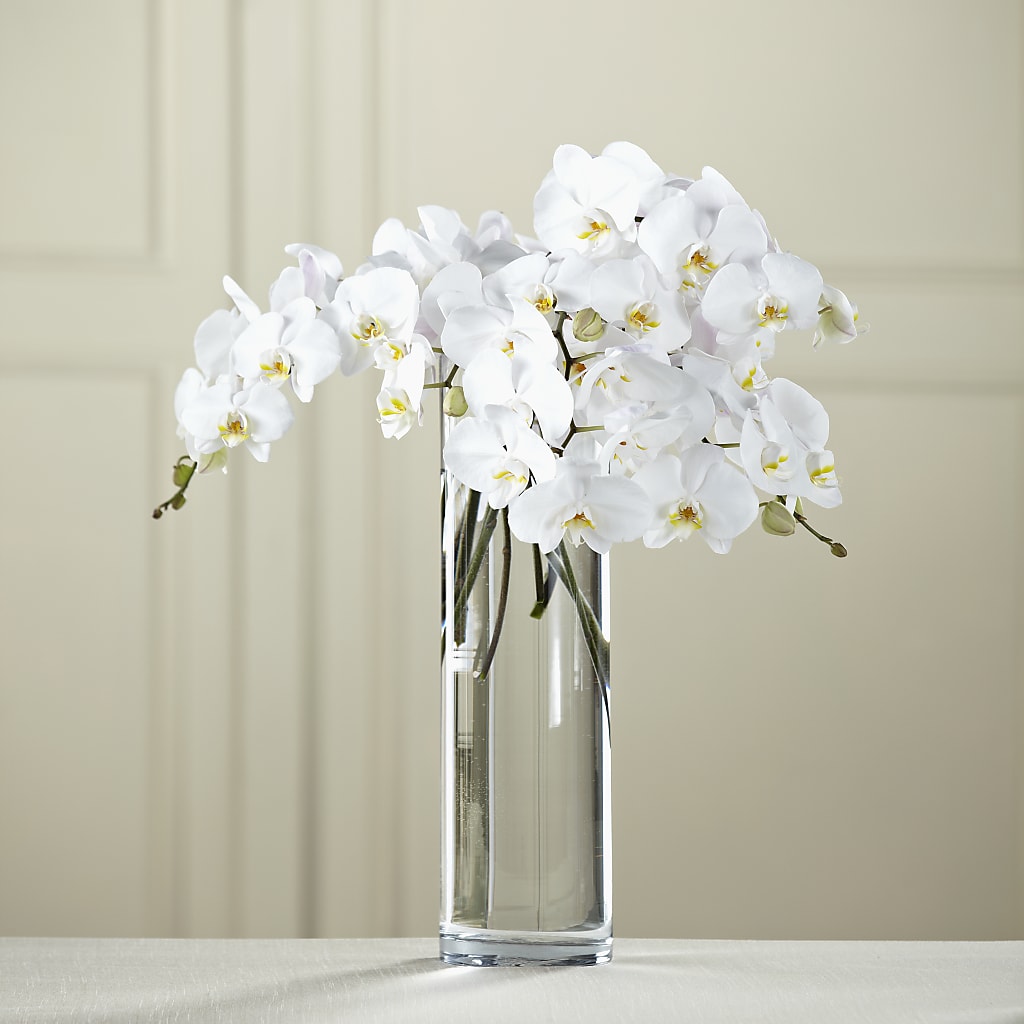 White Phalaenopsis Bouquet – Blooms By The Lake, Lake Arthur LA