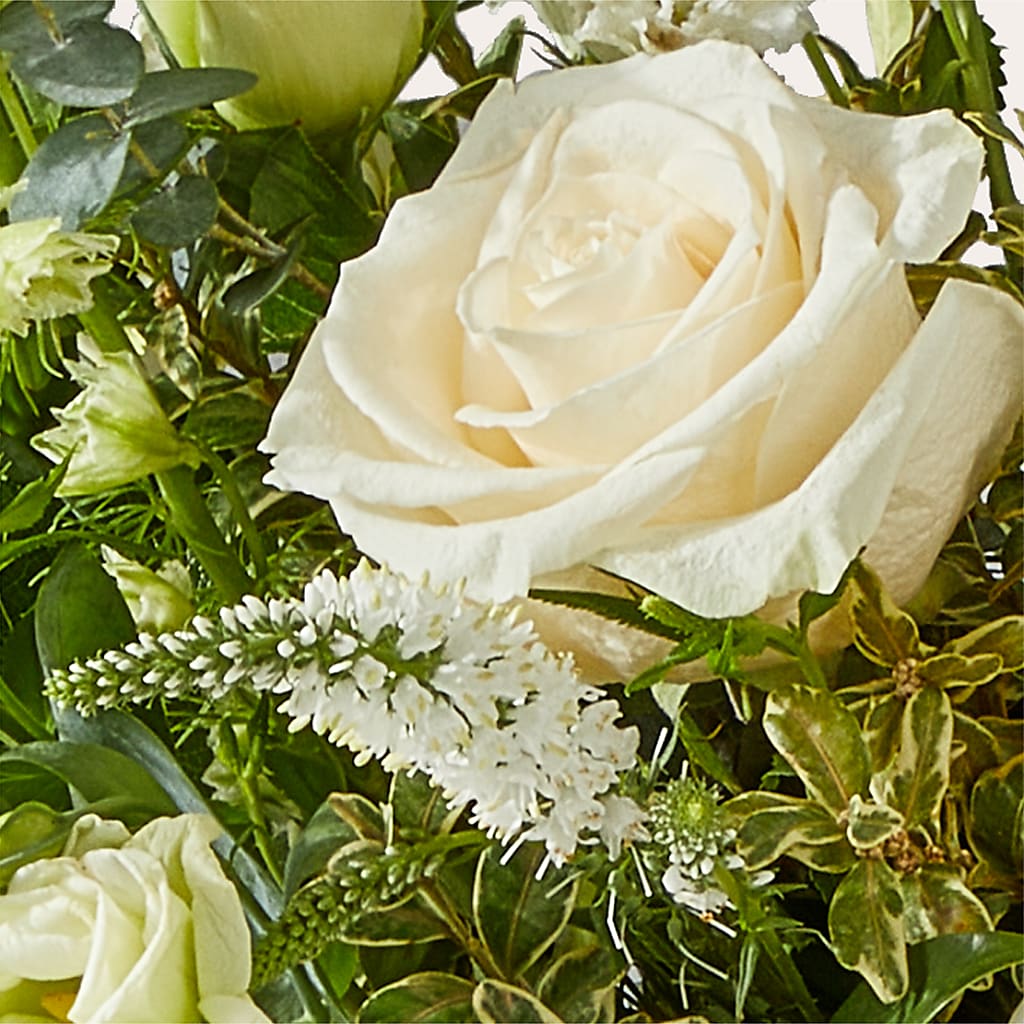 Cashmere Bouquet –  Blooms By The Lake, Lake Arthur LA