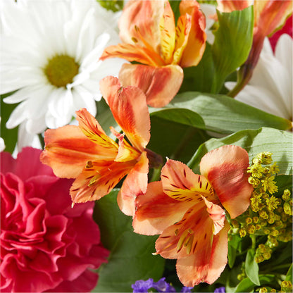Oopsie Daisy Box Bouquet –  Blooms By The Lake, Lake Arthur LA