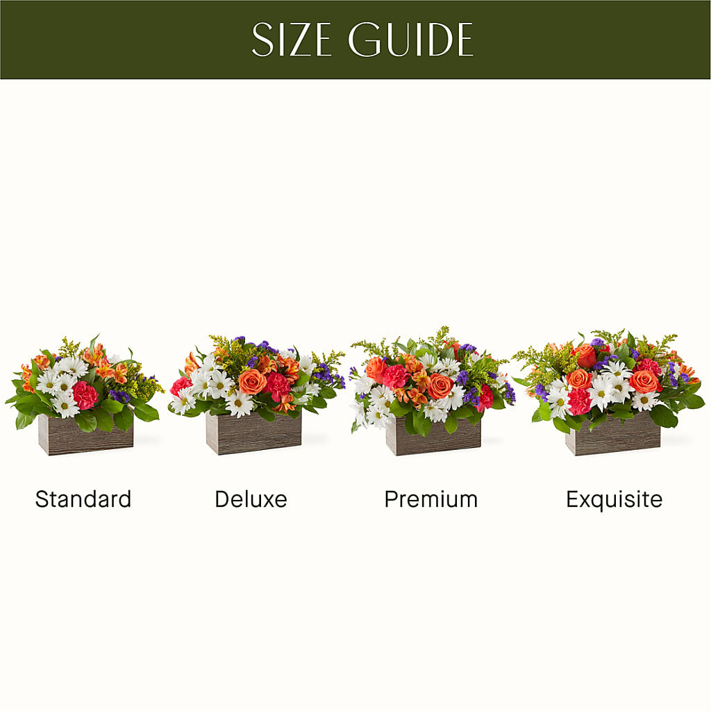 Oopsie Daisy Box Bouquet –  Blooms By The Lake, Lake Arthur LA
