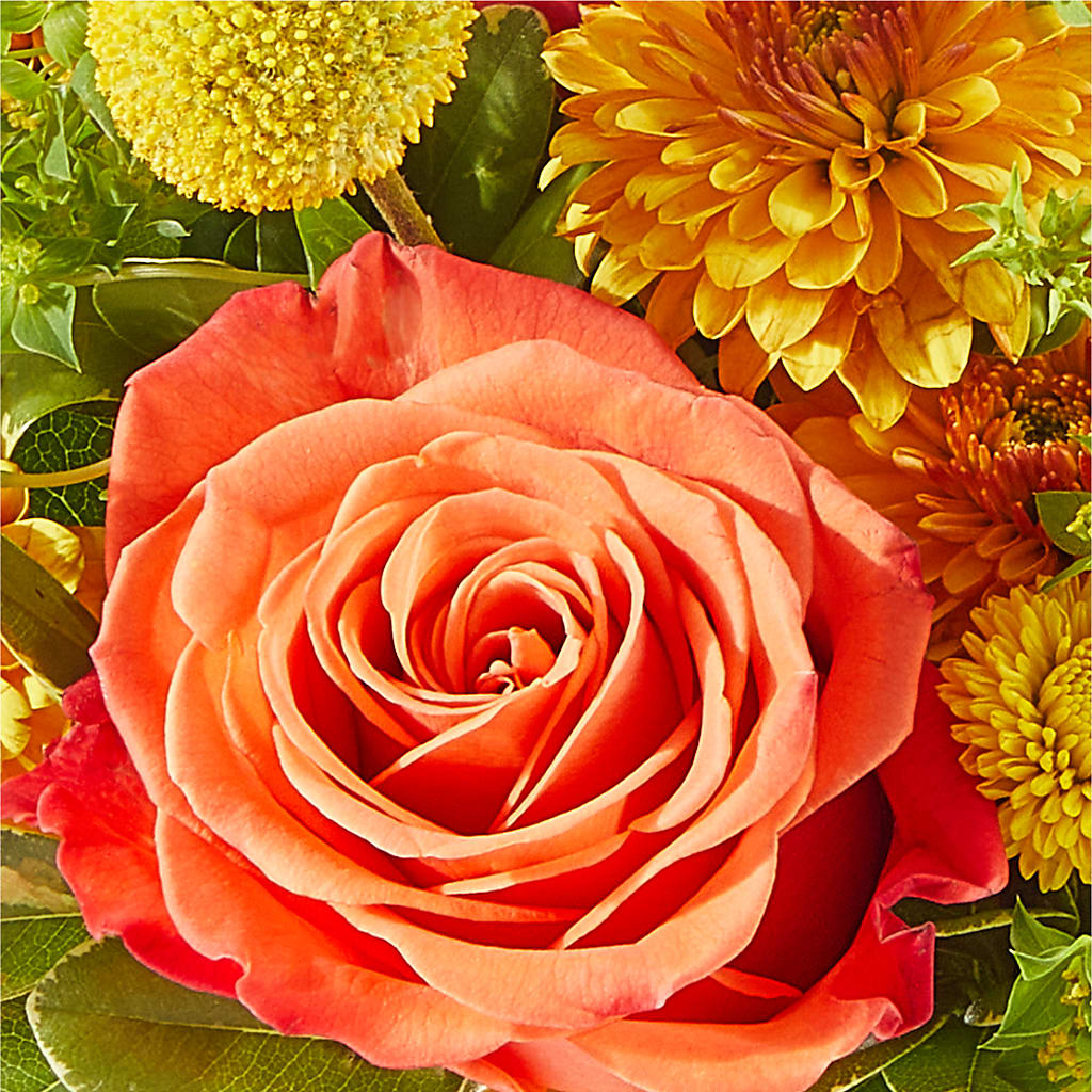 Gourdgeous Pumpkin –  Blooms By The Lake, Lake Arthur LA