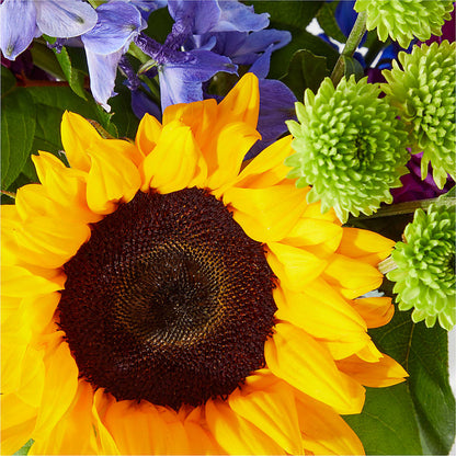 Catching Rays Bouquet –  Blooms By The Lake, Lake Arthur LA