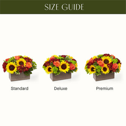 Happy Harvest Garden –  Blooms By The Lake, Lake Arthur LA