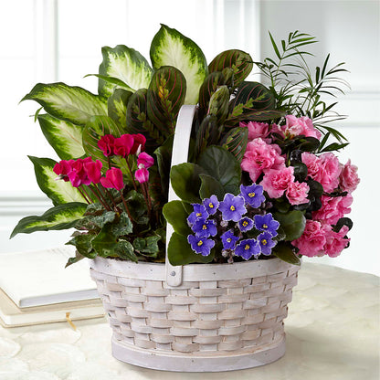 Peaceful Garden Planter –  Blooms By The Lake, Lake Arthur LA