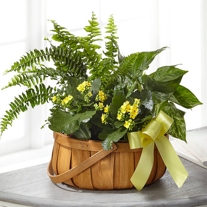 Always Dear Dishgarden –  Blooms By The Lake, Lake Arthur LA