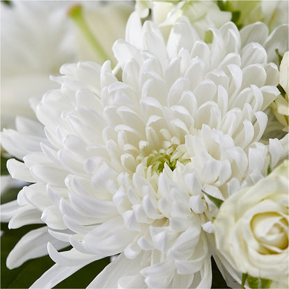 Classic Ivory – A Florist Original –  Blooms By The Lake, Lake Arthur LA