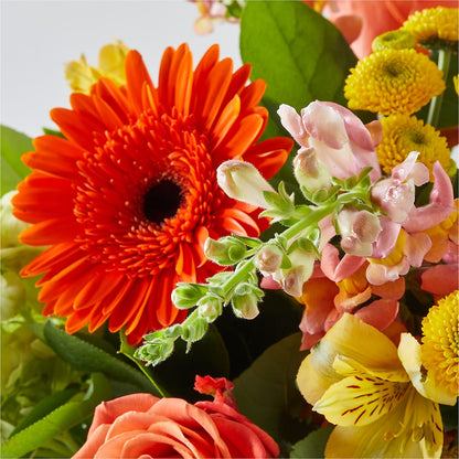 Autumn Sunshine Bouquet –  Blooms By The Lake, Lake Arthur LA