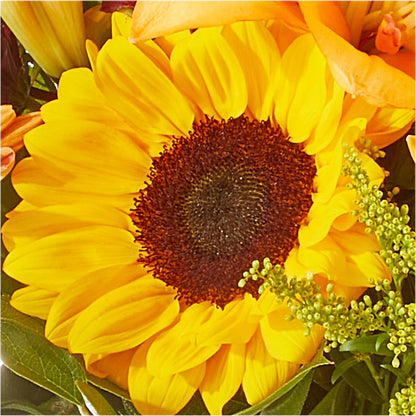 Seasons Change Bouquet –  Blooms By The Lake, Lake Arthur LA