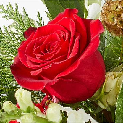Deck the Halls Bouquet –  Blooms By The Lake, Lake Arthur LA