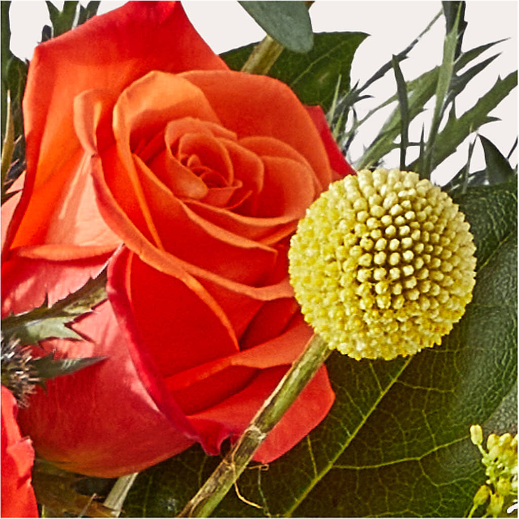 Disco Bouquet –  Blooms By The Lake, Lake Arthur LA