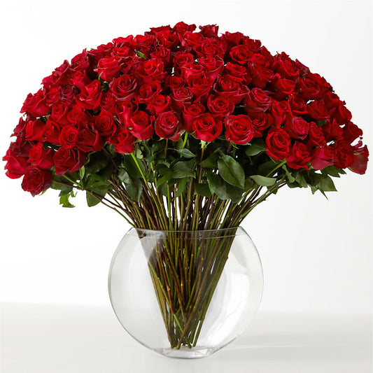 The Idealist –  Blooms By The Lake, Lake Arthur LA