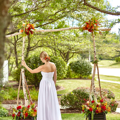 Arbor of Love Archway –  Blooms By The Lake, Lake Arthur LA